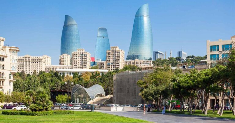 Bakıda insanlar təşviş içində – küçəni bürüyən bu canlılar nədir? – VİDEO