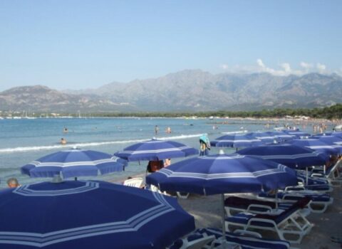 Bu məhsulları dənizə aparmayın – SİYAHI