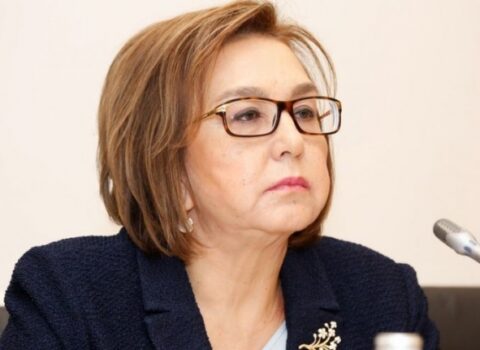 DİM sədri: Mediada işimizi müzakirə edənlər sanki paralel həyatda yaşayır