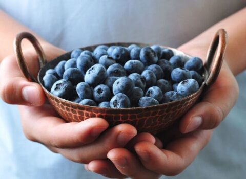 Vitamin deposu qaragilə – Faydaları nələrdir?
