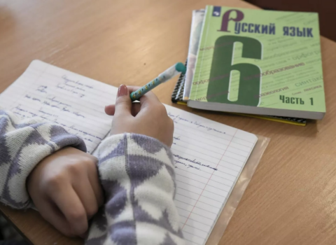 Təhsil sistemində dil savaşı: Rus bölmələri bağlanacaq? – Təhsil eksperti nə təklif edir?