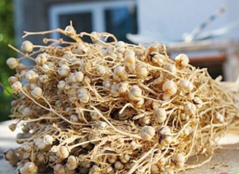 Üzərliklə bağlı əhaliyə TƏCİLİ XƏBƏRDARLIQ: Qəti şəkildə…