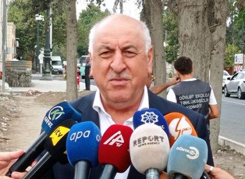Gəncədə qurumuş ağaclar nömrələnir – Fotolar