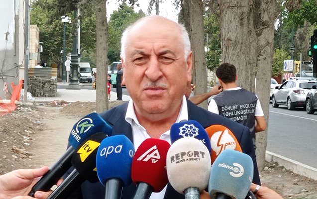 Gəncədə qurumuş ağaclar nömrələnir – Fotolar