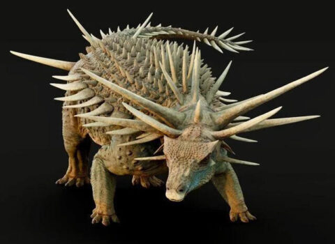 165 milyon il əvvəl yaşamış tikanlı dinozavr kəşf edildi – FOTO