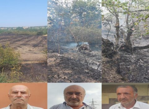Qubada yanğın törədənlərdən biri həbs olunub, ikisi cərimələnib