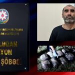Polis Beyləqanda 16 kiloqram marixuana və həşiş aşkarladı