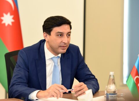 Fərid Qayıbova yeni səlahiyyət verildi