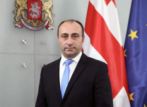 Gürcüstan DTX rəhbəri istefa verdi