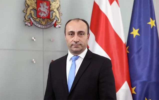 Gürcüstan DTX rəhbəri istefa verdi