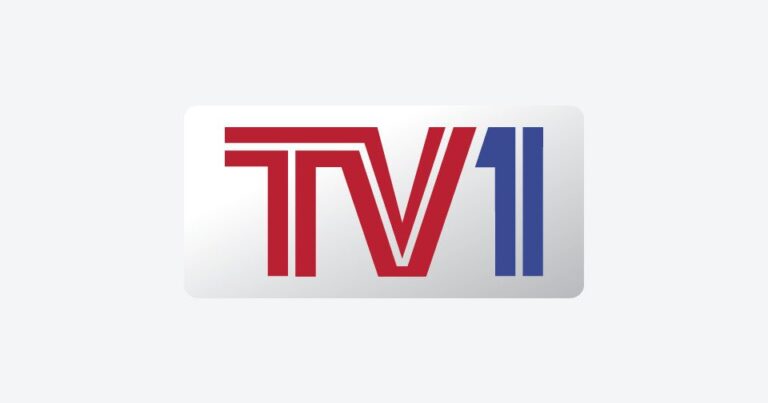 “TV1” kanalı 1 yaşını qeyd edir – VİDEO