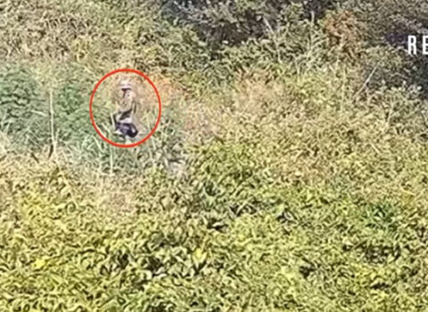 Polis meşədə əməliyyat keçirdi – VİDEO