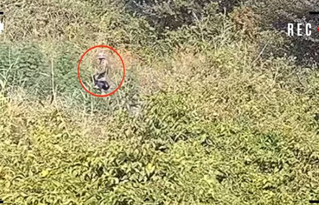Polis meşədə əməliyyat keçirdi – VİDEO