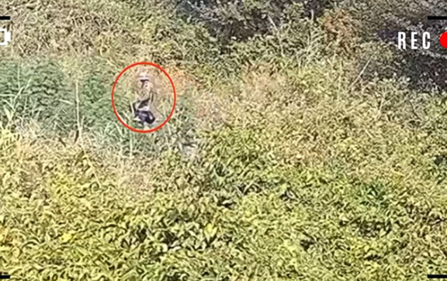 Polis meşədə əməliyyat keçirdi – VİDEO