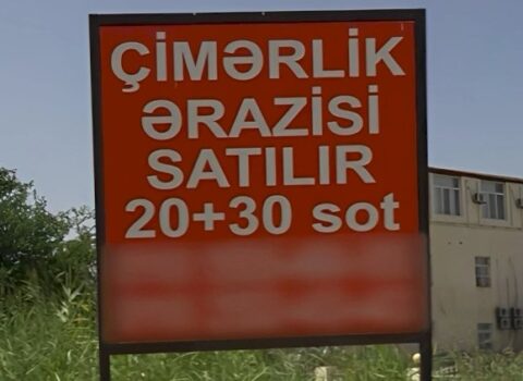 Novxanıda dənizin satılması ilə bağlı elan paylaşıldı – Rəsmi AÇIQLAMA