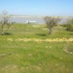 Bakıda torpaq bahalaşıb – VİDEO
