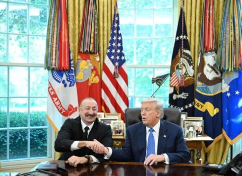 “Mənim 9 nəvəm var, icazə versəniz, hamısını götürərdim”