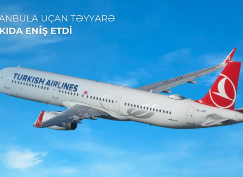 İstanbula uçan təyyarə Bakıda məcburi eniş etdi