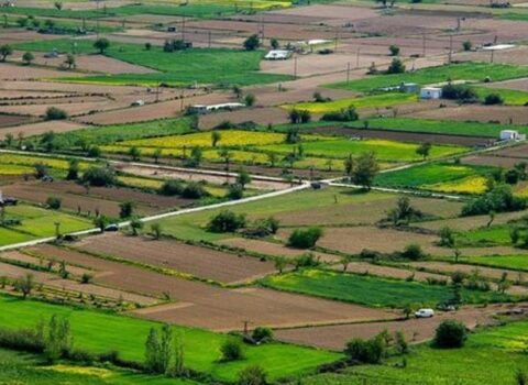 Kənd təsərrüfatı təyinatlı torpaqlarla bağlı YENİLİK – Tikinti qaydaları DƏYİŞDİ