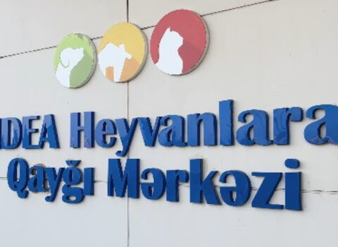 Ekoloji monitorinq: Restoran ərazisində nadir quşlar qeyri-qanuni saxlanılıb