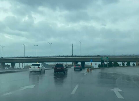 Hava Limanı yolunda sürət həddi bərpa olundu