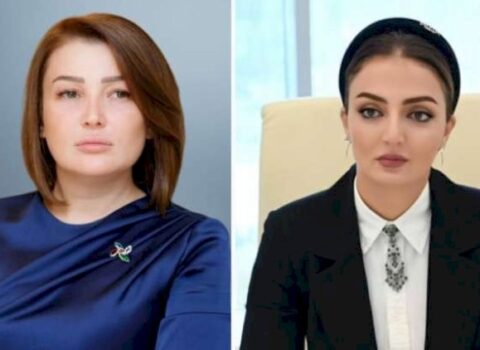 Millət vəkilləri istefa verdi – Federasiyanın bütün rəhbərliyi dağıldı