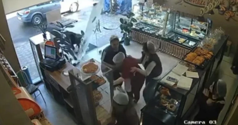 Camış mağazaya hücum etdi: Xəsarət alanlar var