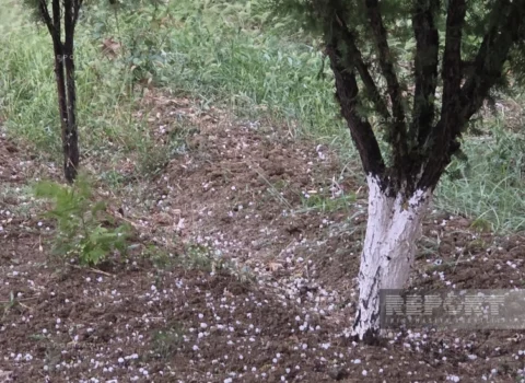 Naxçıvana leysan və dolu yağır