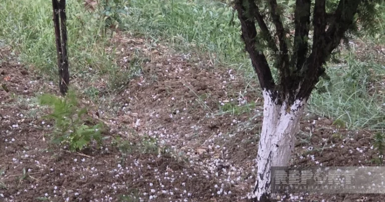 Naxçıvana leysan və dolu yağır