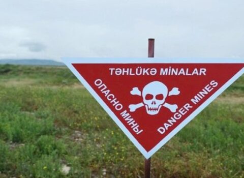Goranboyda heyvanlar minaya düşdü
