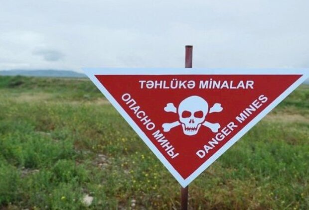 Goranboyda heyvanlar minaya düşdü