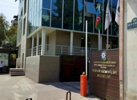 Bu qurumda 39 milyonluq yeyinti aşkar edildi – RƏSMİ
