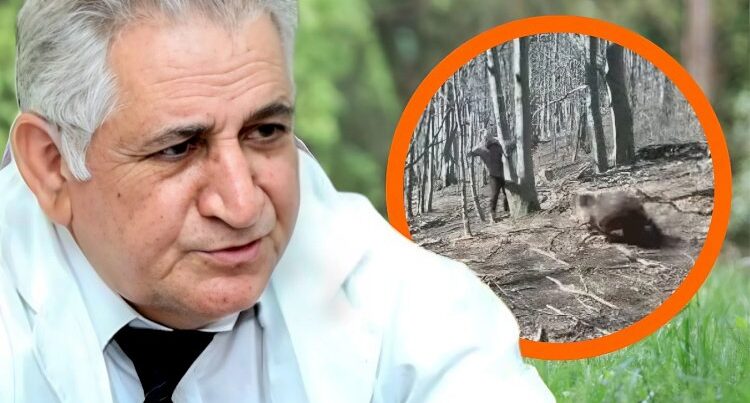 Ayıların kəndlərə hücum səbəbi bu imiş… – Zooloq AÇIQLADI