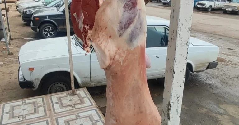 Ət satışı məntəqəsində normativ tələblər pozulub