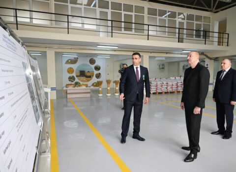 İlham Əliyev Sabirabad Sənaye Məhəlləsində toxum istehsalı müəssisəsinin fəaliyyəti ilə tanış olub