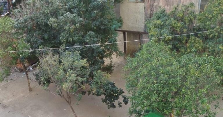 Sumqayıtda zibil qalmaqalı: Şəhid bacısı bütün məhəlləni ayağa qaldırdı – FOTOFAKT