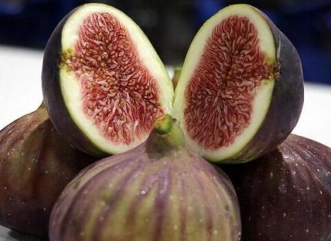 Əncirə əlavə edib yeyin – Qaraciyəri təmizləyir, orqanizmi yeniləyir