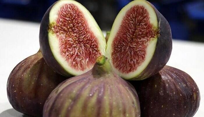 Əncirə əlavə edib yeyin – Qaraciyəri təmizləyir, orqanizmi yeniləyir Əncirə əlavə edib yeyin – Qaraciyəri təmizləyir, orqanizmi yeniləyir