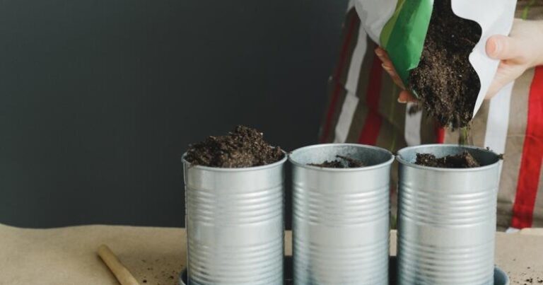 Nə bağ, nə də torpaq tələb etmir: Bir dəfə ək, il boyu məhsul yığ Nə bağ, nə də torpaq tələb etmir: Bir dəfə ək, il boyu məhsul yığ