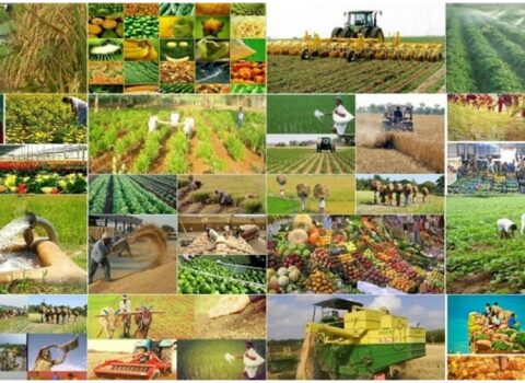 Regionların sosial-iqtisadi inkişafı necə həyata keçirilir? – ŞƏRH