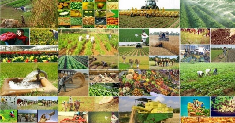 Regionların sosial-iqtisadi inkişafı necə həyata keçirilir? – ŞƏRH Regionların sosial-iqtisadi inkişafı necə həyata keçirilir? – ŞƏRH