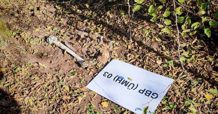 Hərbçilərimizə aid kütləvi məzarlıqdan görüntülər – Foto
