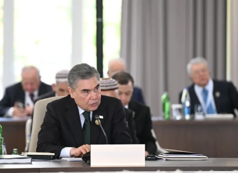 TDT qardaş xalqların təşkilatıdır – Berdiməhəmmədov
