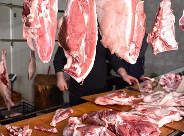 Xəstə heyvanların əti Bakıya gətirilir?