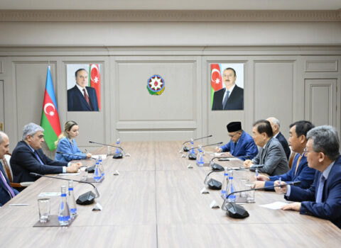Baş nazirin müavini ICAPP-ın nümayəndə heyəti ilə görüşüb