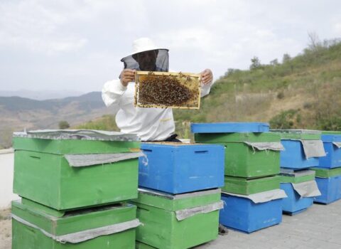 Gələn il əhalinin özünüməşğulluğuna bu qədər vəsait ayrılacaq