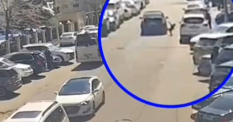 DYP: “Piyadalar, diqqətli olun!” – VİDEO