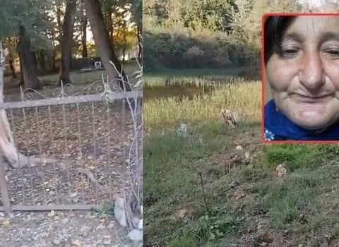 Qərənfil Seymurla evli olubmuş, ördəyi də pay veribmiş… – Video