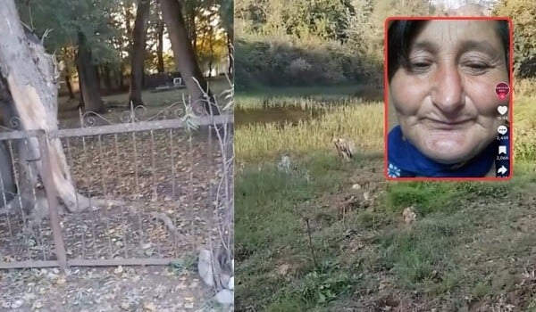Qərənfil Seymurla evli olubmuş, ördəyi də pay veribmiş… – Video
