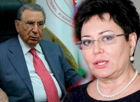 Ramiz Mehdiyevin Ukraynada “imperiyası” üzə çıxır